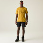 Pánské triko Dare 2b Movement III Tee