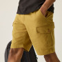 Pánské kraťasy Regatta Ruwan Shorts