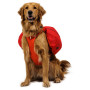 Postroj pro psa Ruffwear Palisades™ Pack