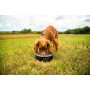 Miska pro psa Mountain Paws Basecamp Dog Bowl