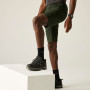 Pánské kraťasy Regatta Highton Shorts Long II
