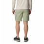 Pánské kraťasy Columbia Rapid Rivers™ Cargo Short