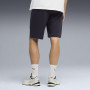 Pánské kraťasy Puma Ess 2 Color Logo Shorts
